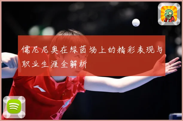 儒尼尼奥在绿茵场上的精彩表现与职业生涯全解析
