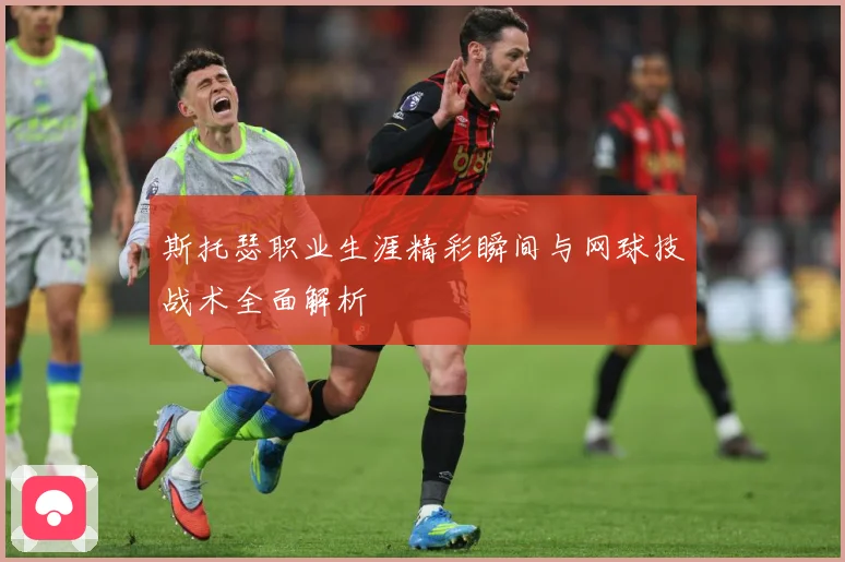 斯托瑟职业生涯精彩瞬间与网球技战术全面解析