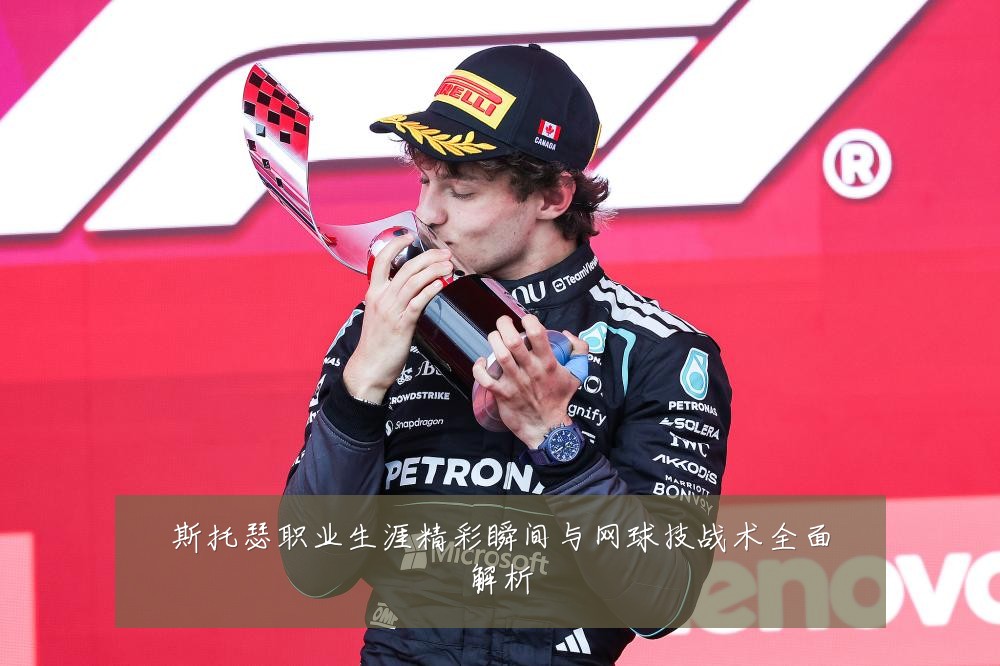 斯托瑟职业生涯精彩瞬间与网球技战术全面解析