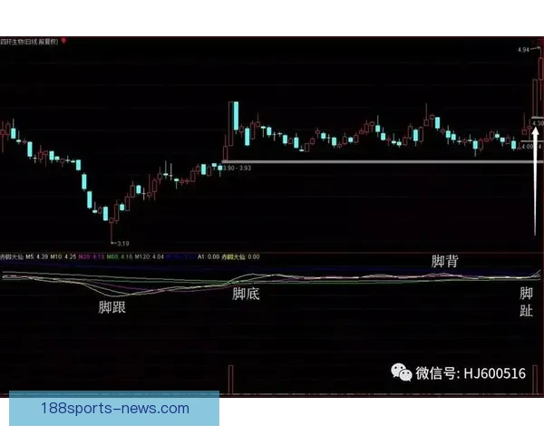 精准预测与策略分析助力体育竞猜致胜之路